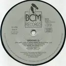 LP - Spoonie Gee - Old And New Jams