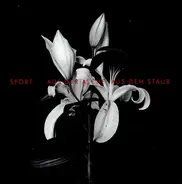 Sport - Aus der Asche,aus dem Staub