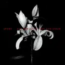 CD - Sport - Aus der Asche,aus dem Staub