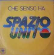 7inch Vinyl Single - Spazio Unito - Che Senso Ha