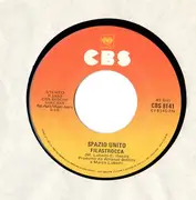 7inch Vinyl Single - Spazio Unito - Che Senso Ha