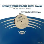 12inch Vinyl Single - Spanky Wonderland - How Many Times