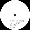 2 x 12inch Vinyl Single - Spanky Wonderland - How Many Times - White Label - stamped