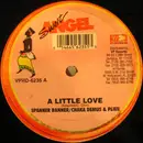 12inch Vinyl Single - Spanner Banner / Chaka Demus & Pliers - A Little Love