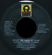 Spanner Banner / Luciano - What We Need Is Love