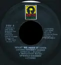 7inch Vinyl Single - Spanner Banner / Luciano - What We Need Is Love