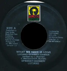 Spanner Banner - What We Need Is Love