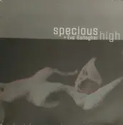 Eve Gallagher - High