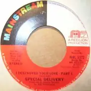 Special Delivery - I Destroyed Your Love