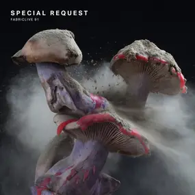 special request - Fabriclive 91