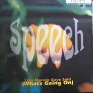 Speech - Like Marvin Said (What's Going On)