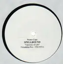 12'' - Spellbound - Universe Of Life - white label promo