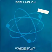 Spellbound - Universe Of Life (DJ Scot Project Rmx)