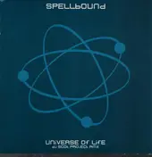 Spell Bound - Universe Of Life (DJ Scot Project Rmx)