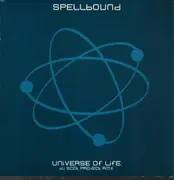 12inch Vinyl Single - Spellbound - Universe Of Life (DJ Scot Project Rmx)