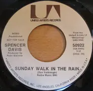 Spencer Davis - Sunday Walk In The Rain