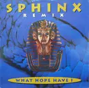 12inch Vinyl Single - Sphinx - What Hope Have I (Remix)
