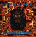 12inch Vinyl Single - Sphinx - What Hope Have I
