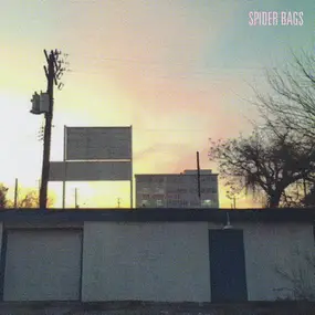 The Spider Bags - Someday Everything Will Be Fine