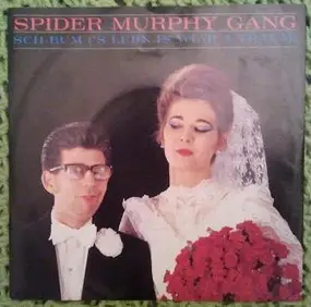 Spider Murphy Gang - Sch-Bum ('S Leben Is Wiar A Traum) )