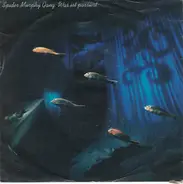 Spider Murphy Gang - Was Ist Passiert