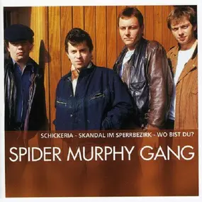 Spider Murphy Gang - The Essential