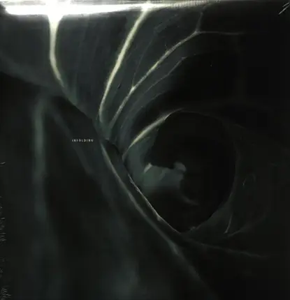 Spin Marvel - Infolding