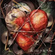 CD Single - Spin Doctors - She Used To Be Mine