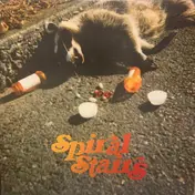 Spiral Stairs - The Real Feel