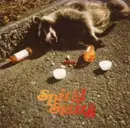 CD - Spiral Stairs - Real Feel