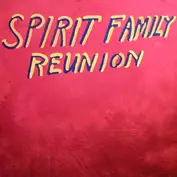 Spirit Family Reunion