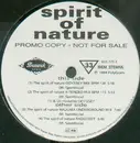 12'' - Spirit Of Nature - Spirit Of Nature