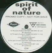 Spirit Of Nature - Spirit Of Nature