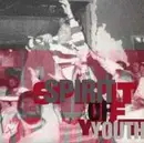 7inch Vinyl Single - Spirit Of Youth - The Abyss