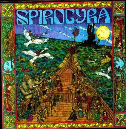 Spirogyra - Spirogyra 5