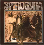 Spirogyra - St. Radigunds