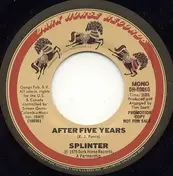 Splinter - After Five Years