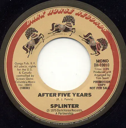 Splinter - After Five Years