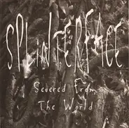 Splinterface - Severed From The World