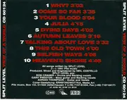CD - Split Level - View Of A World