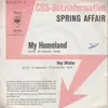 7inch Vinyl Single - Spring Affair - My Homeland / Hey Mister