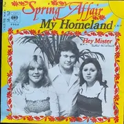 7inch Vinyl Single - Spring Affair - My Homeland