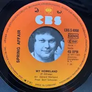 7inch Vinyl Single - Spring Affair - My Homeland