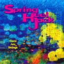 CD - Spring Heel Jack - There Are Strings