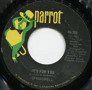 Springwell - It's For You