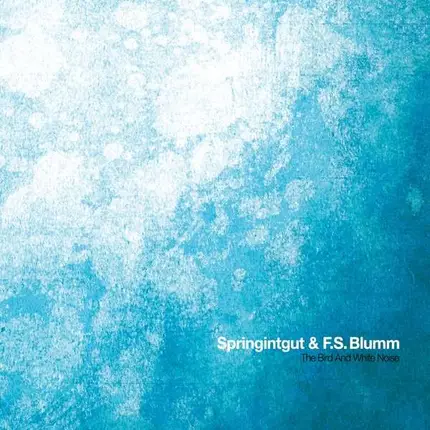 Springintgut - Bird & White Noise