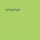 12'' - Springintgut - Springintgut