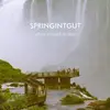 LP - Springintgut - Where We Need No Map