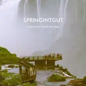Springintgut
