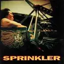 CD - Sprinkler - More Boy, Less Friend